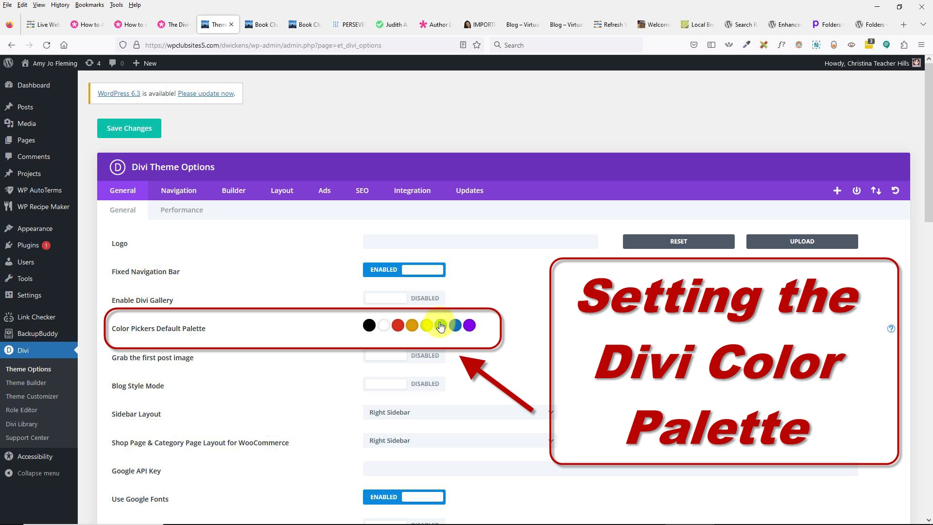 divi color palette